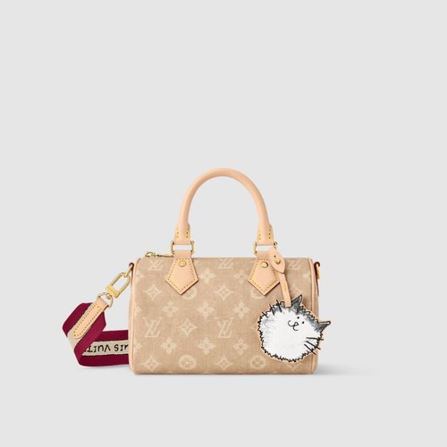 Louis vuitton speedy - louis,