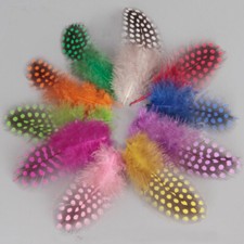 Piume Colorate Macchiate Per