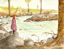 FIUME SASSI ALBERI PAESAGGIO