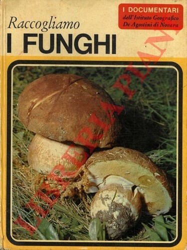 Tosco raccogliamo i funghi - tosco,