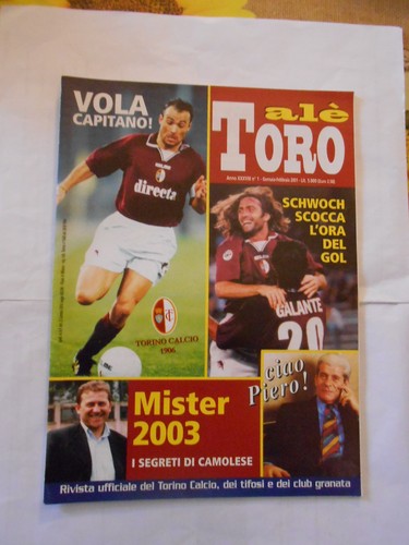 Ale toro n - toro, n.1