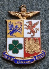 DISTINTIVO SMALTI STEMMA ARALDICO AERONAUTICA MILITARE ITALIANA PILOTA  LORIOLI