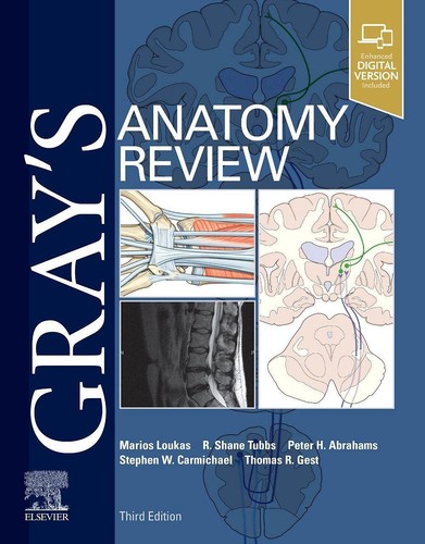 Gray anatomy review with - review:,