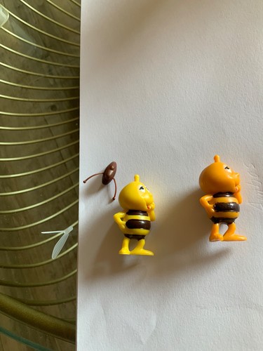 Willy con ali - , cappuccio