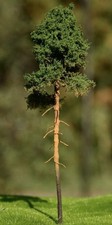 🍀🍀 Albero modello H0