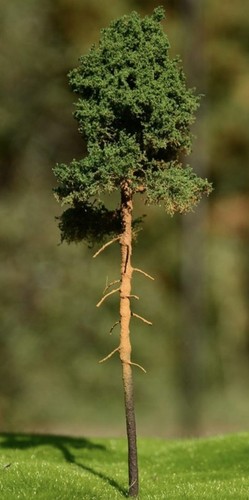Albero modello h0 - 🍀🍀,