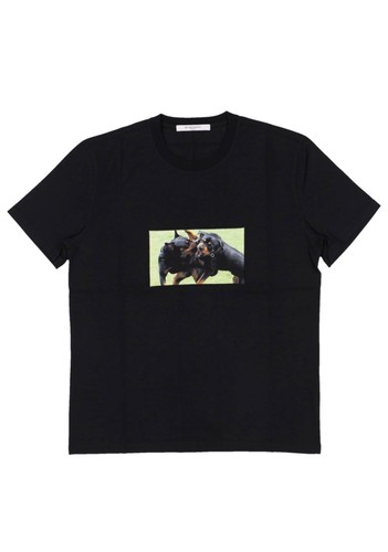Givenchy rottweiler box - rottweiler, logo