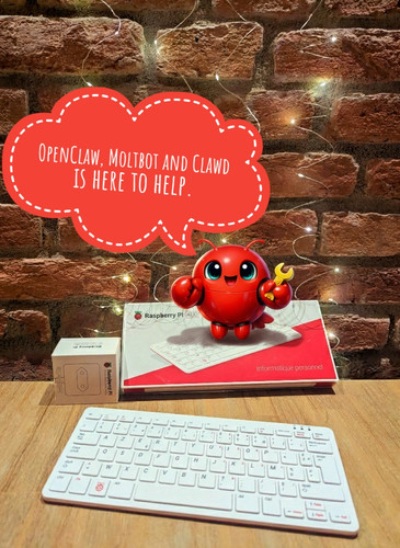 Openclaw moltbot server - ai,
