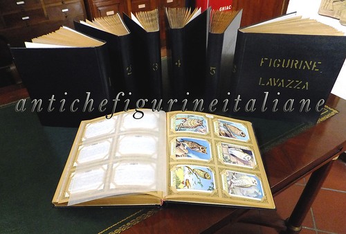 Collezione completa anche - , non