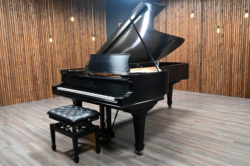 Steinway sons d concert - sons,