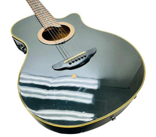 Chitarra elettrica acustica