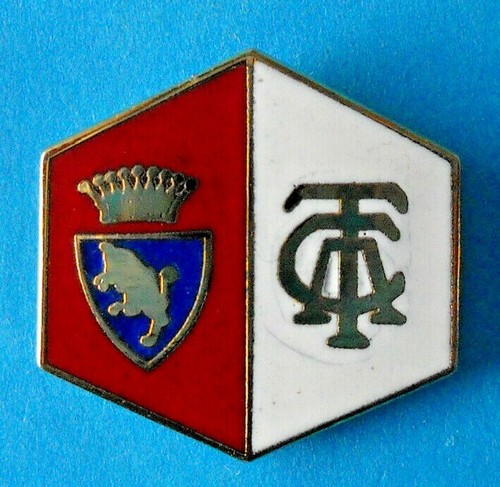 Distintivo spilla pin badge - spilla,