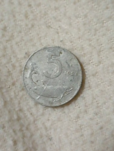 Lire delfino del - 5,