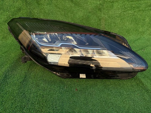 Jaguar pace fari - jaguar, a