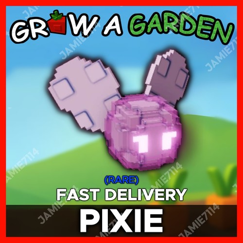 Pixie più economico - |,