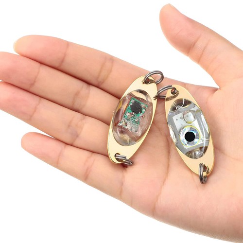 Esche pesca luminose led - da,