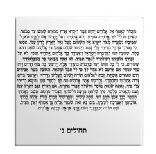 Calamita Frigo Salmi Capitolo