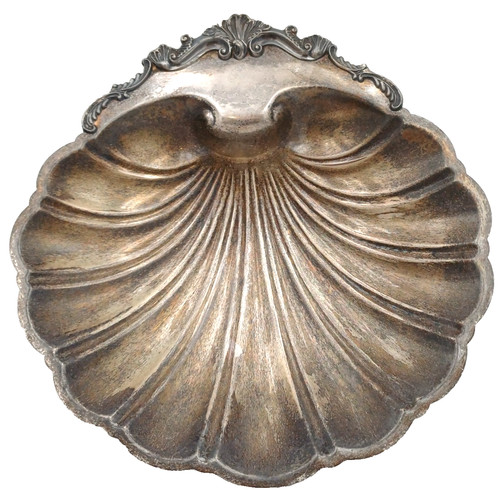 Centrotavola conchiglia fine - centrotavola,