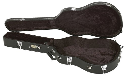 Chitarra custodia astuccio - chitarra,