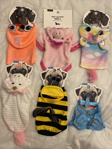Costume cane piccolo primark - cane,