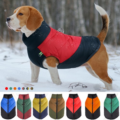 Gilet per cani - cani, domestici