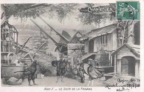 Chantecler acte 5380 - chantecler,