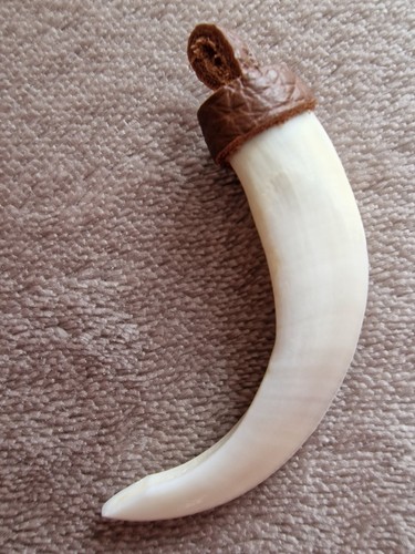 Autentico ciondolo dente - , di