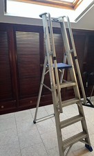 Svelt Regina Special - Scala Alluminio con Corrimano E Parapetto 5 gradini