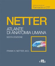 Netter. Atlante anatomia