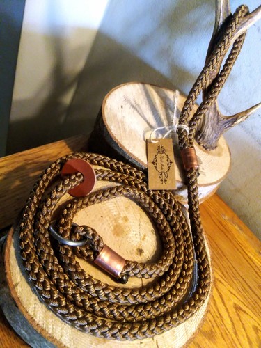 Guinzaglio scivolo cane