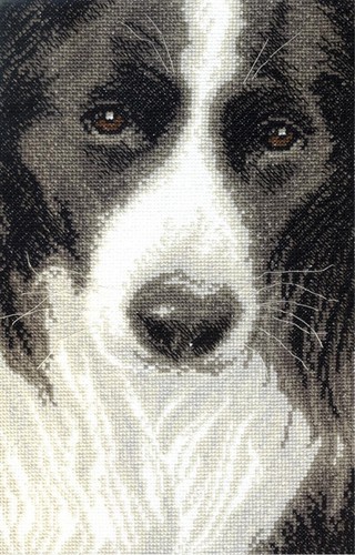 Cross stitch border - cross, "border