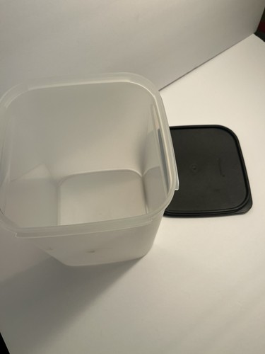 Compagni modulari tupperware - compagni,