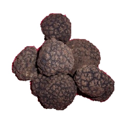 100g tartufo estivo nero