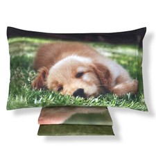 Completo Lenzuola Matrimoniali