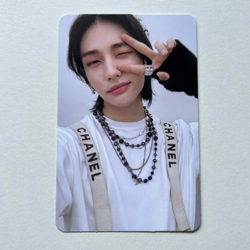 Stray kids hyunjin - stray,