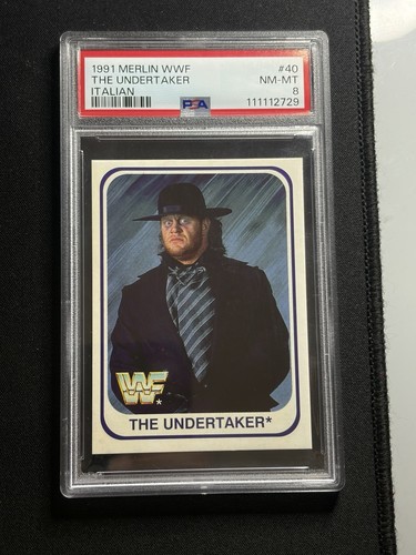 1991 merlin wwf the - 1991, undertaker