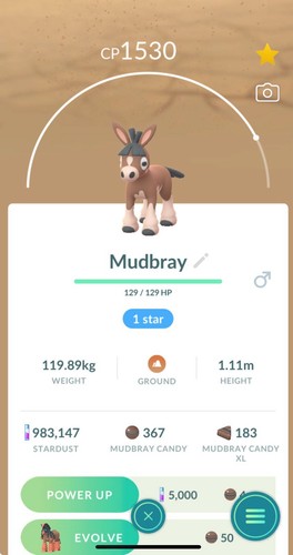 Mudbray pokemon non lucido - pokemon,