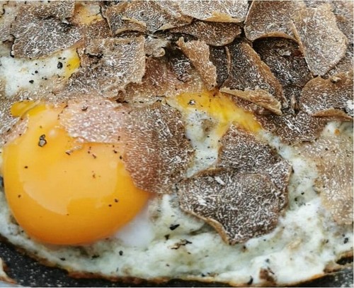 Uova extra fresche tartufo - uova,