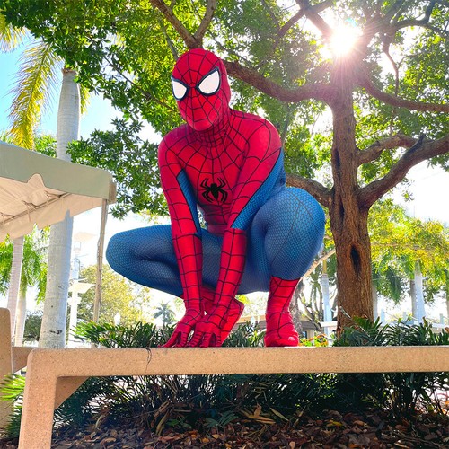 Costume ps4 spider man tuta - costume, spider-man