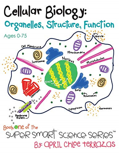 Cellular biology organelles - biology:,