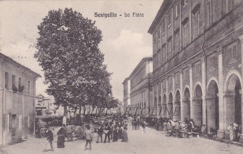 Senigallia fiera 1913 - senigallia:,