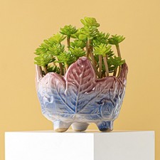  Vasi da Interno per Piante