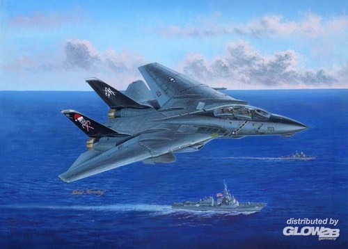 Hobby boss 14b tomcat - tomcat, in