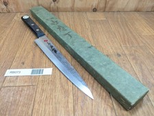 Giapponese Dello Chef Cucina