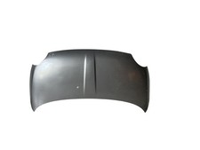 cofano anteriore FIAT 500 (83)