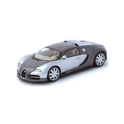 Bugatti veyron 2009 - bugatti,