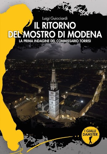 Libri luigi guicciardi - libri, il
