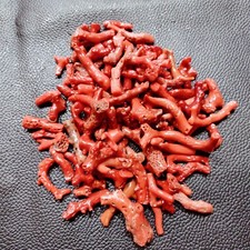 Ramo di corallo marino