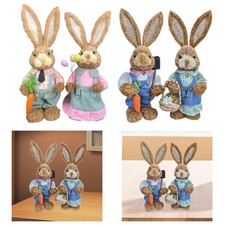 Coniglio ornamento vacanza