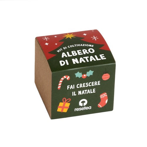 Kit albero natale coltiva - albero, |